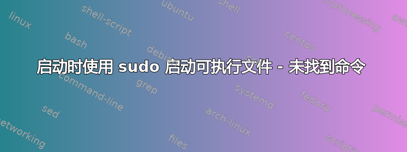 启动时使用 sudo 启动可执行文件 - 未找到命令