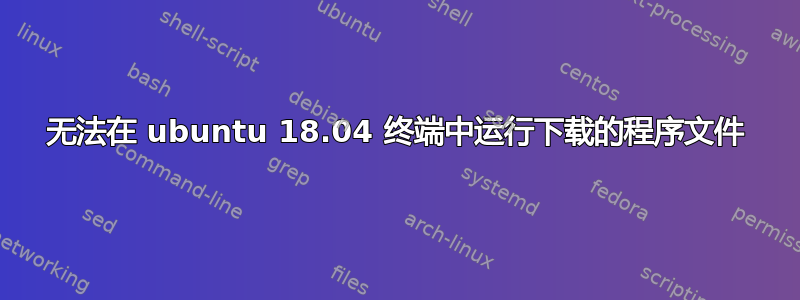 无法在 ubuntu 18.04 终端中运行下载的程序文件