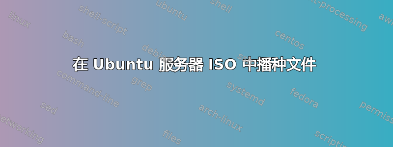 在 Ubuntu 服务器 ISO 中播种文件