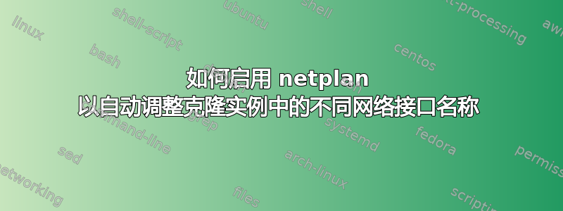 如何启用 netplan 以自动调整克隆实例中的不同网络接口名称