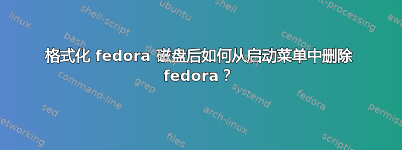 格式化 fedora 磁盘后如何从启动菜单中删除 fedora？