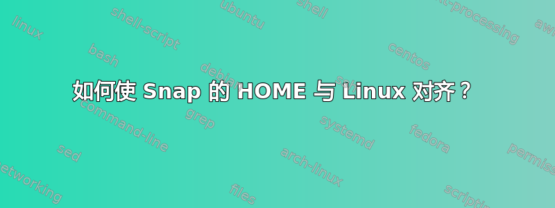 如何使 Snap 的 HOME 与 Linux 对齐？