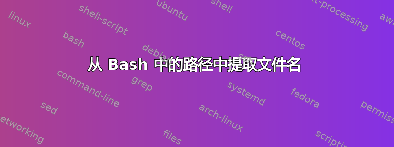 从 Bash 中的路径中提取文件名