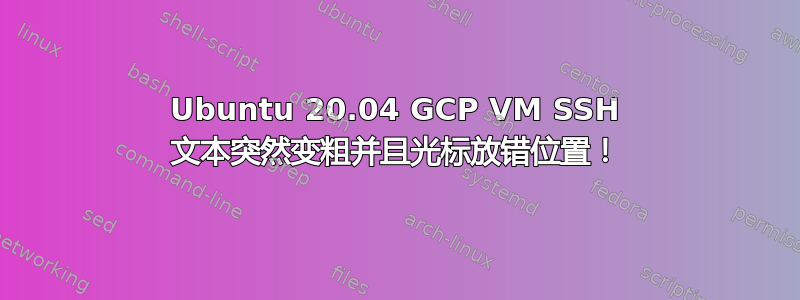 Ubuntu 20.04 GCP VM SSH 文本突然变粗并且光标放错位置！