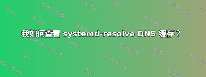 我如何查看 systemd-resolve DNS 缓存？