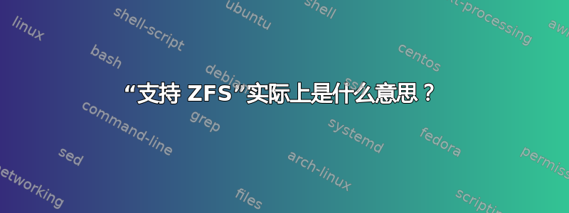 “支持 ZFS”实际上是什么意思？