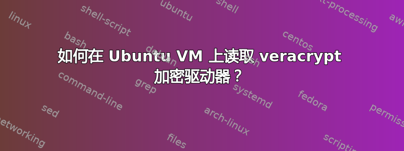 如何在 Ubuntu VM 上读取 veracrypt 加密驱动器？