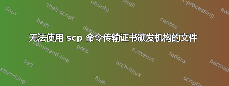 无法使用 scp 命令传输证书颁发机构的文件