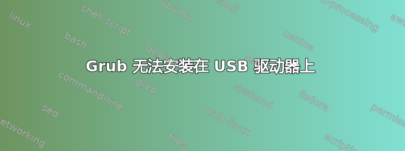 Grub 无法安装在 USB 驱动器上