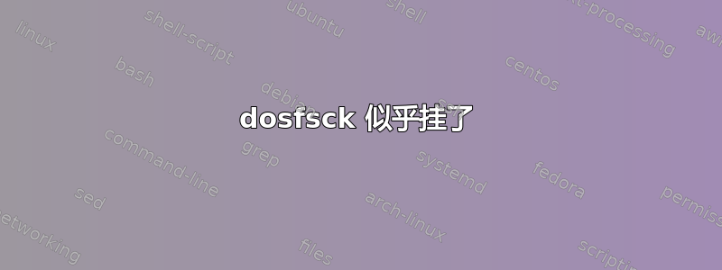 dosfsck 似乎挂了