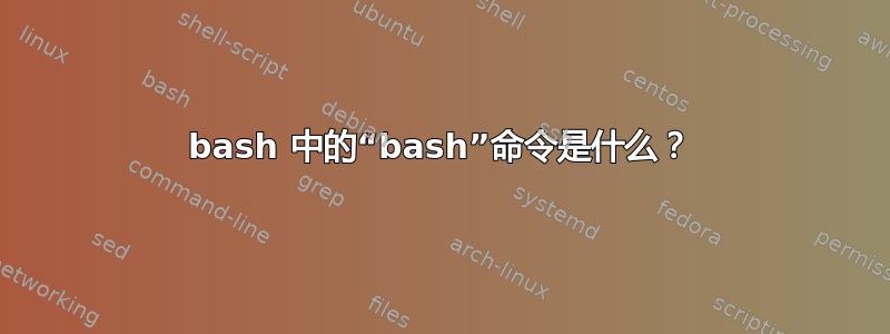 bash 中的“bash”命令是什么？