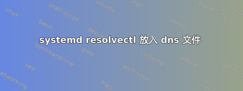 systemd resolvectl 放入 dns 文件