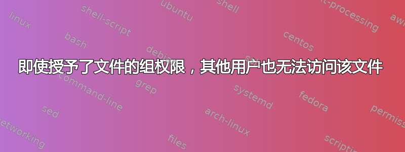 即使授予了文件的组权限，其他用户也无法访问该文件