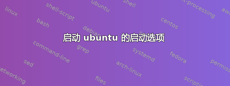 启动 ubuntu 的启动选项