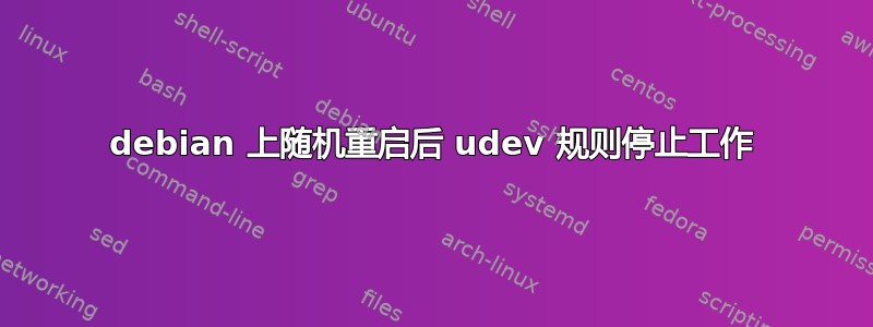 debian 上随机重启后 udev 规则停止工作