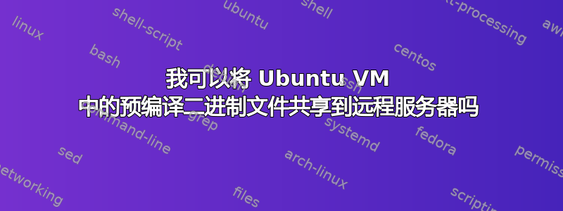 我可以将 Ubuntu VM 中的预编译二进制文件共享到远程服务器吗