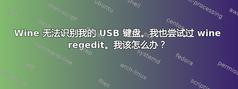 Wine 无法识别我的 USB 键盘。我也尝试过 wine regedit。我该怎么办？