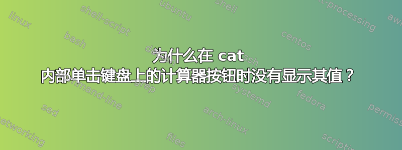 为什么在 cat 内部单击键盘上的计算器按钮时没有显示其值？