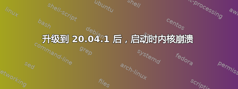 升级到 20.04.1 后，启动时内核崩溃