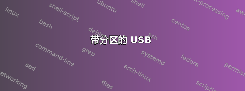 带分区的 USB