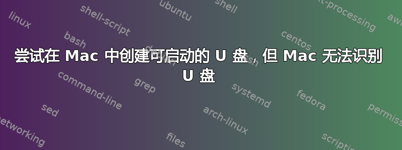 尝试在 Mac 中创建可启动的 U 盘，但 Mac 无法识别 U 盘