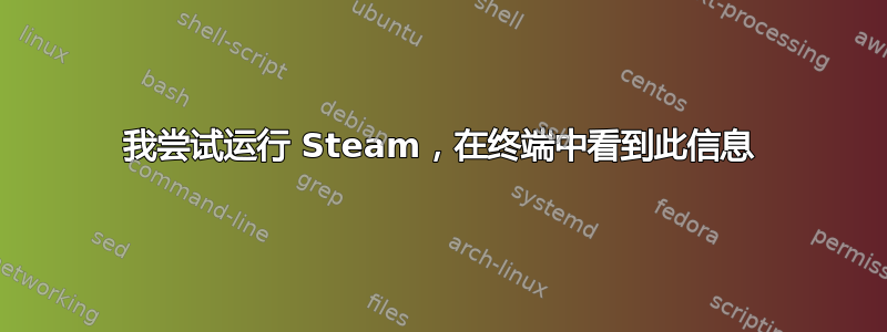 我尝试运行 Steam，在终端中看到此信息