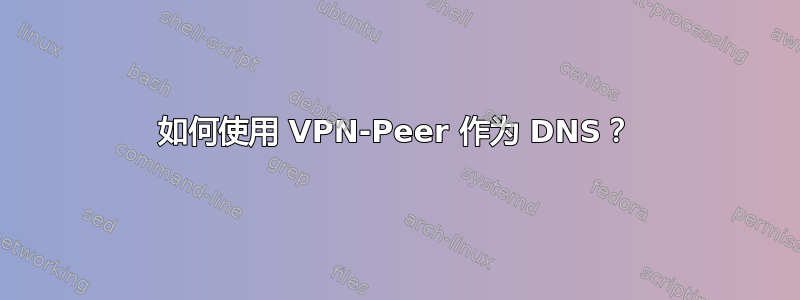 如何使用 VPN-Peer 作为 DNS？