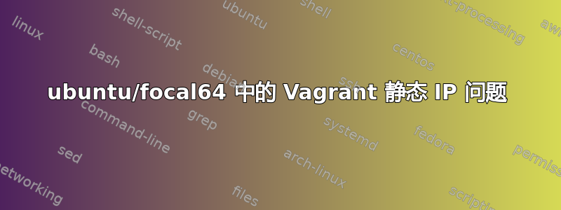 ubuntu/focal64 中的 Vagrant 静态 IP 问题