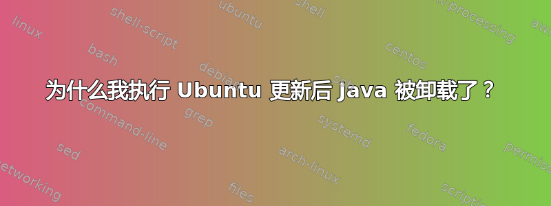 为什么我执行 Ubuntu 更新后 Java 被卸载了？