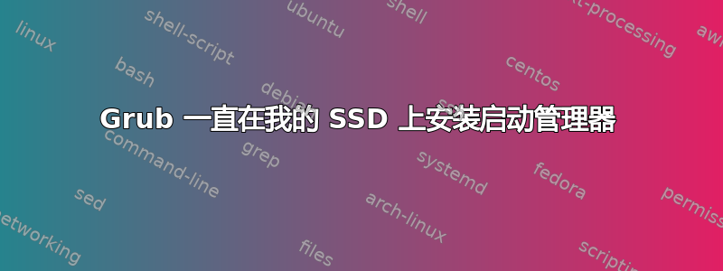 Grub 一直在我的 SSD 上安装启动管理器