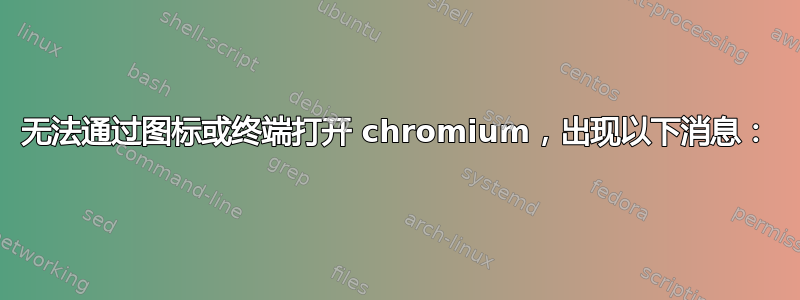 无法通过图标或终端打开 chromium，出现以下消息：