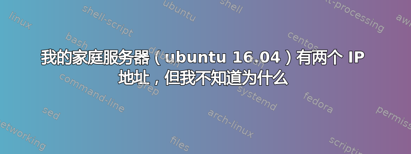 我的家庭服务器（ubuntu 16.04）有两个 IP 地址，但我不知道为什么