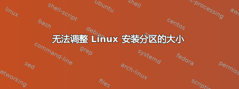 无法调整 Linux 安装分区的大小