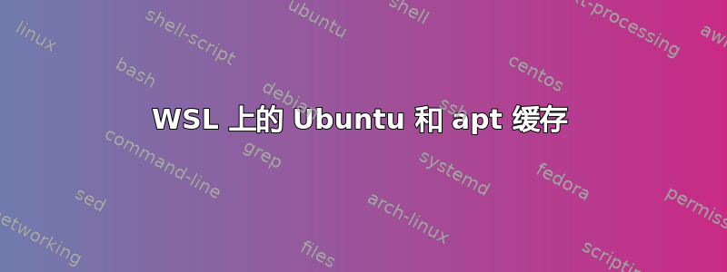 WSL 上的 Ubuntu 和 apt 缓存