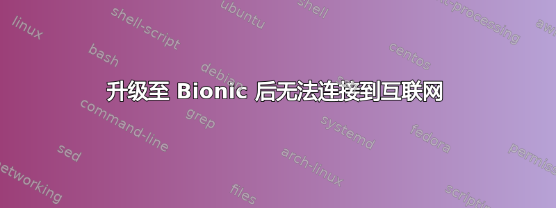 升级至 Bionic 后无法连接到互联网