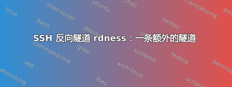 SSH 反向隧道 rdness：一条额外的隧道