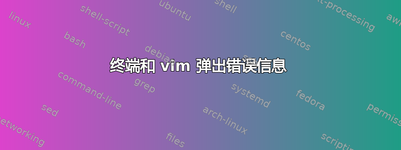 终端和 vim 弹出错误信息