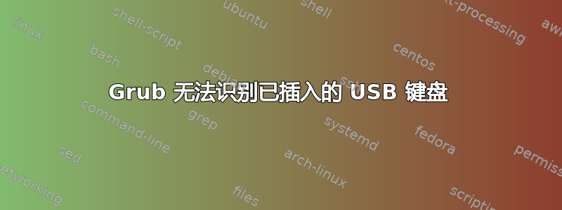 Grub 无法识别已插入的 USB 键盘