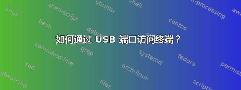 如何通过 USB 端口访问终端？