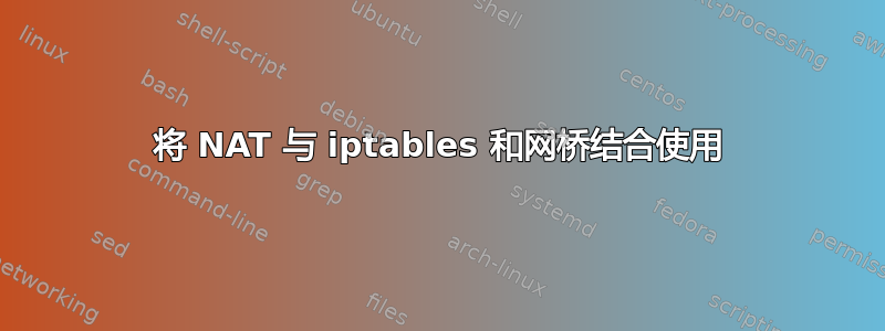 将 NAT 与 iptables 和网桥结合使用