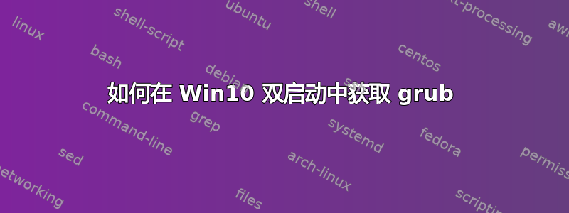 如何在 Win10 双启动中获取 grub