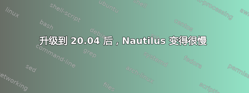 升级到 20.04 后，Nautilus 变得很慢