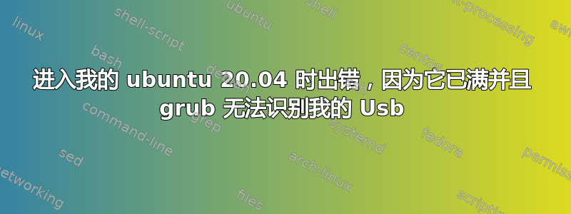 进入我的 ubuntu 20.04 时出错，因为它已满并且 grub 无法识别我的 Usb