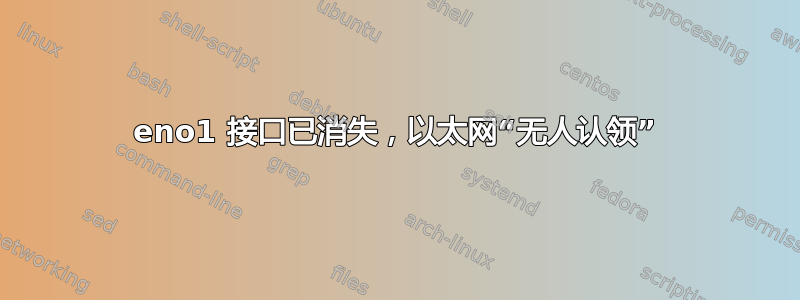 eno1 接口已消失，以太网“无人认领”