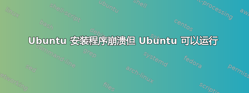 Ubuntu 安装程序崩溃但 Ubuntu 可以运行