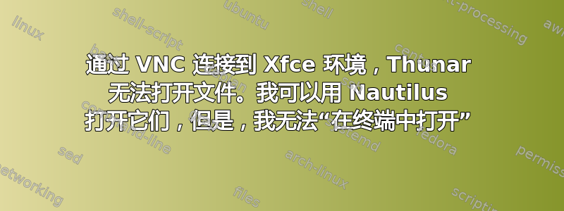 通过 VNC 连接到 Xfce 环境，Thunar 无法打开文件。我可以用 Nautilus 打开它们，但是，我无法“在终端中打开”