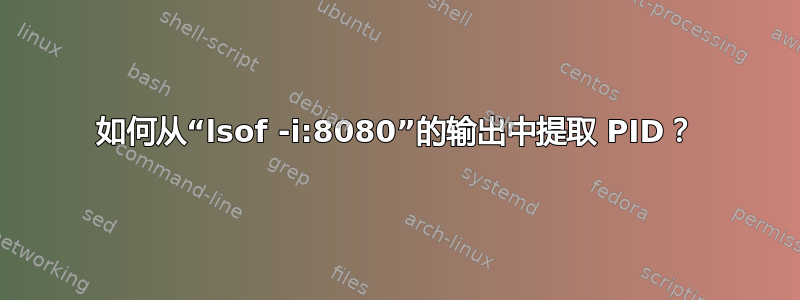 如何从“lsof -i:8080”的输出中提取 PID？