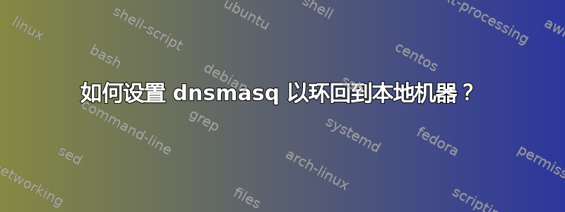 如何设置 dnsmasq 以环回到本地机器？