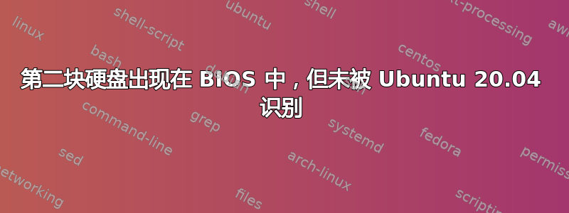 第二块硬盘出现在 BIOS 中，但未被 Ubuntu 20.04 识别