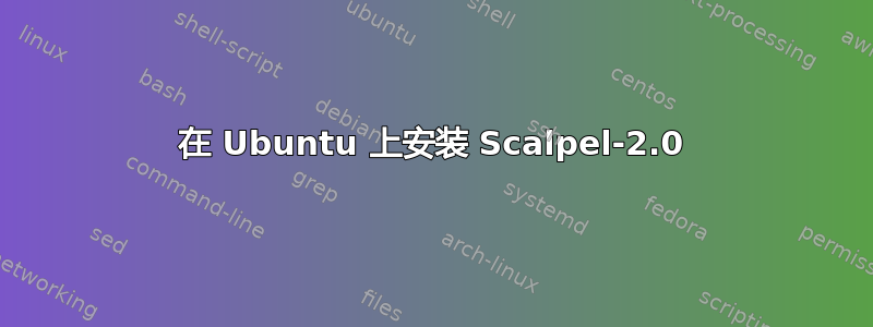 在 Ubuntu 上安装 Scalpel-2.0